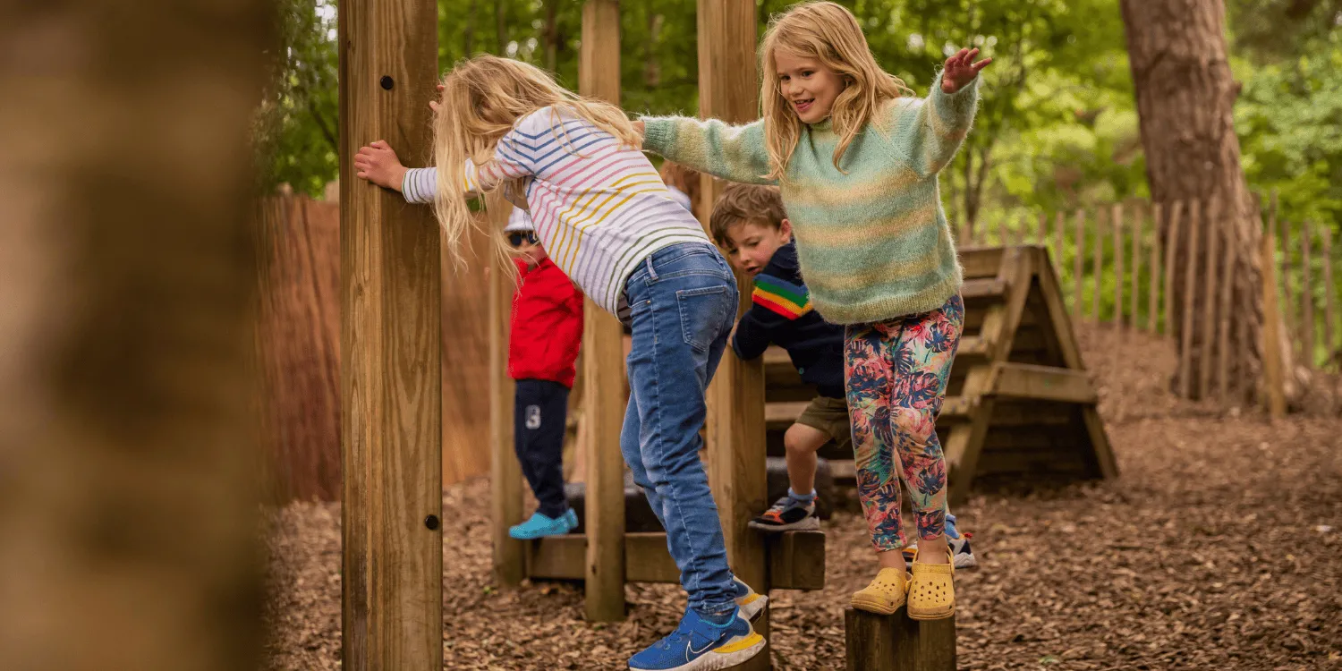 Local area playground